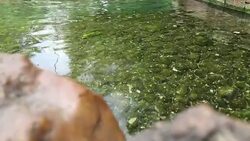 Hot spring Stock Footage