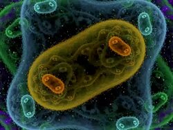 bacteria background render Stock Footage