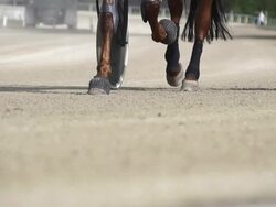 HD SUPER SLOW MO: Horse's Hoofs On A Racetrack Stock Footage