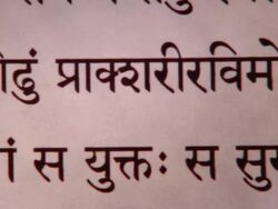 CU PAN Bhagavad Gita in Sanskrit Chapter 8 / New York City, New York, USA  Stock Footage