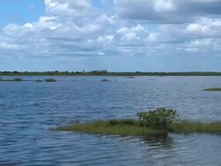 Water and Sky Stock Footage