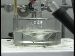 USA: SCIENTISTS HOPEFUL OF NEW CANCER TREATMENT News Clip