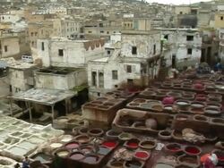 WS, HA, PAN, Dyeing vats at tannery, Fez, Morocco Stock Footage