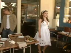 Celebrity Save The Seal Day: Press Conference Hosted by Celebrities Against The Seal Hunt Stock Footage