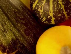 Autumn composition Stock Footage