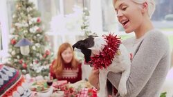 Smiling woman holding Jack Russell terrier decorated with tinsel at Christmas dinner Stock Footage