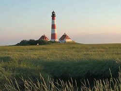 WS View of Westerhever lighthouse from grass field at sunset, North Frisian Wadden Sea / Westerhever, Schleswig Holstein, Germany Stock Footage