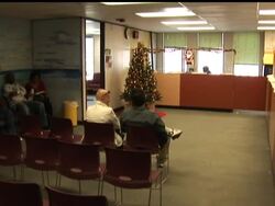 Federal immigration officials in Miami say a woman married 23 times for money and to give the men a quick path to legal immigration News Clip