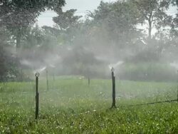 water spring Stock Footage