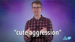 Why Do You Want to Squeeze Cute Things? Instructional Video