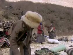 MS TD TU Yak herder setting up camp / Himalayas, Upper Dolpo, Nepal   Stock Footage