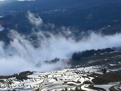 Yuanyang Terraced Fields Stock Footage