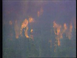 USA - Bushfires Char Thousands Of Acres News Clip