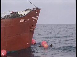 ISRAEL: GREENPEACE ACTIVISTS BLOCK SHIP FROM DUMPING TOXIC WASTE News Clip