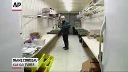 Vegetable growers geared up for the cold weather in Florida, harvesting plants and bringing baby produce indoors overnight Monday and into early Tuesday when temperatures peaked in the lower 40s in parts of Martin County. (Jan. 7) News Clip