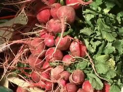 HD: Selling radish Stock Footage