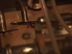 alte medizinische instrumente Stock Footage