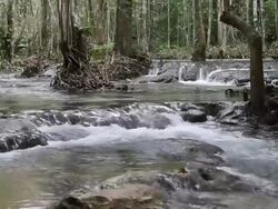 Falling Water Stock Footage
