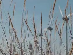 HD: Wind Turbine Stock Footage