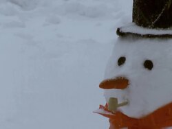 Frosty in the Snow (HD) Stock Footage