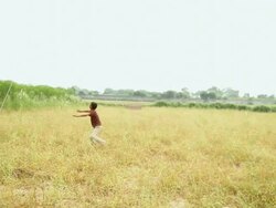 Two boys flying kite, Haryana, India Stock Footage