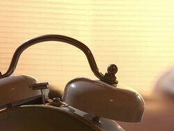 HD: Waking Up Stock Footage