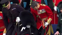 William and Kate at St Patrick's Day ceremony News Clip