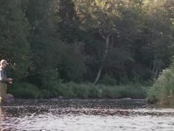 MS Shot of Flyfishing on Long Pond River in Northern / Maine, United States Stock Footage