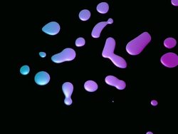 Multicolored Liquids Stock Footage