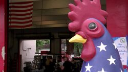 VOICED : Republicanos buscan conquistar Senado News Clip