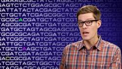 Is Evolution Random? - 12 Days of Evolution #2 Instructional Video