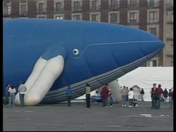 Greenpeace celebrates Mexico's new whale sanctuary News Clip