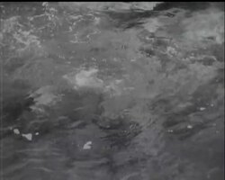 PERILOUS SPORT DOWN UNDER News Clip