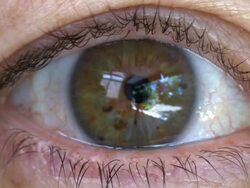 Female Green Eye HD Stock Footage