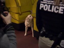 Police on patrol on Penn Station platform News Clip
