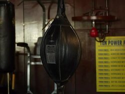 Atmosphere: Joe Frazier Gym Stock Footage