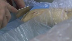 VOICED : Paris Bristol Hotel prepares special News Clip