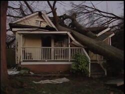 Two people in rural northwest Georgia are dead and dozens injured after a series of severe storms moved through the state this weekend, producing the first-ever tornado to hit downtown Atlanta News Clip