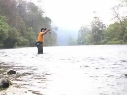 HD: Fly fishing Stock Footage