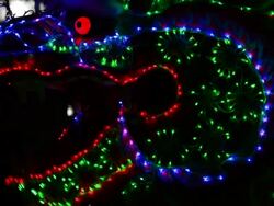 Chinese dragon head Stock Footage