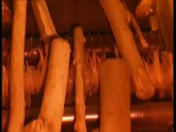CU Conveyer belt moving logs Stock Footage