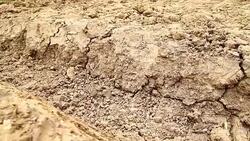 Dolly camera: drought Stock Footage