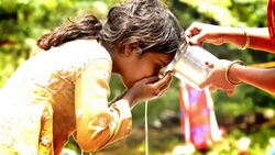 Thirsty Stock Footage