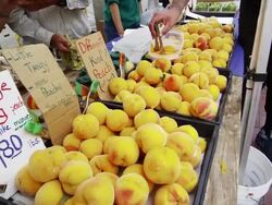 San Francisco peaches Stock Footage