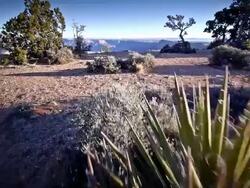 MS POV Shot of Grand Canyon National Park / Grand Canyon National Park, Arizona, United States Stock Footage