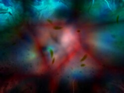 Abstract background. Fluid with bacterium. Stock Footage