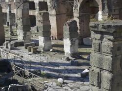 The Roman Forum Stock Footage