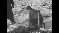 US troops set anti-tank mines and barbed wire at the Western Front during World War II News Clip