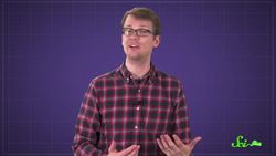 What's the Best Way to Rescue a Drowned Phone? Instructional Video