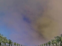 OLD PEAR TREES: MID/FAR - MOVING IN. COLORFUL CLOUDS (loop) Stock Footage